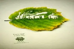 پوستر خلاقانه برای داشتن طبیعت سبز / عکس