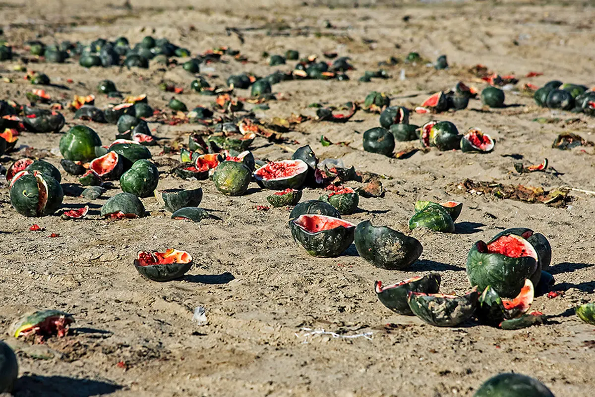 تصاویر / خسارات سیل به عشایر بورک شهرستان نیکشهر