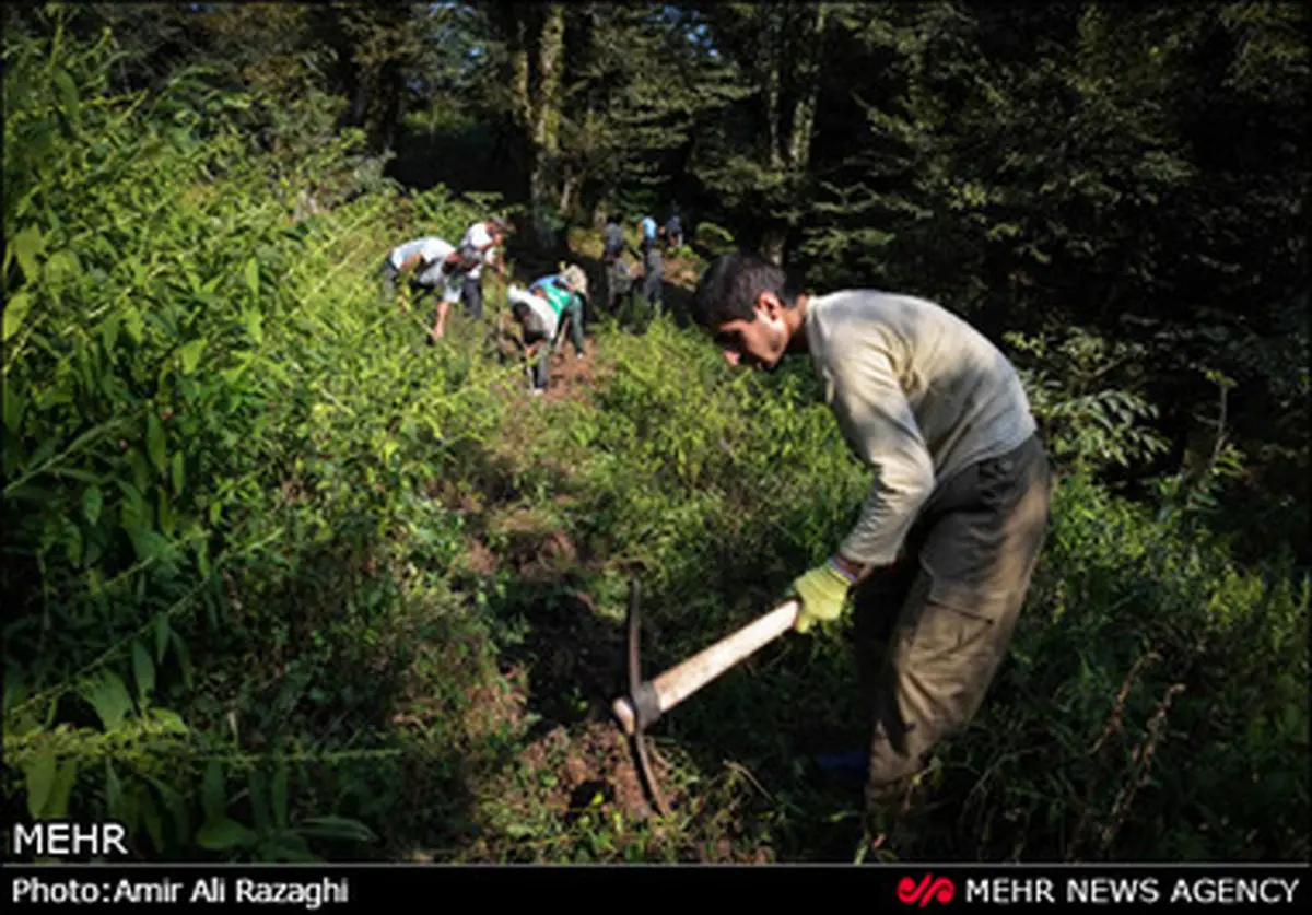 دانشجویان، این منطقه را رونق بخشیدند/ تصاویر