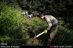 دانشجویان، این منطقه را رونق بخشیدند/ تصاویر
