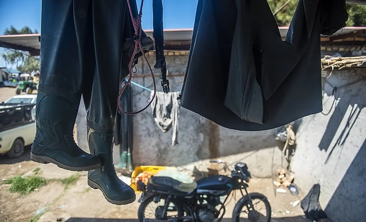 پایان فصل صید ماهیان استخوانی +عکس‌ها