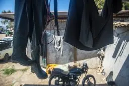 پایان فصل صید ماهیان استخوانی +عکس‌ها