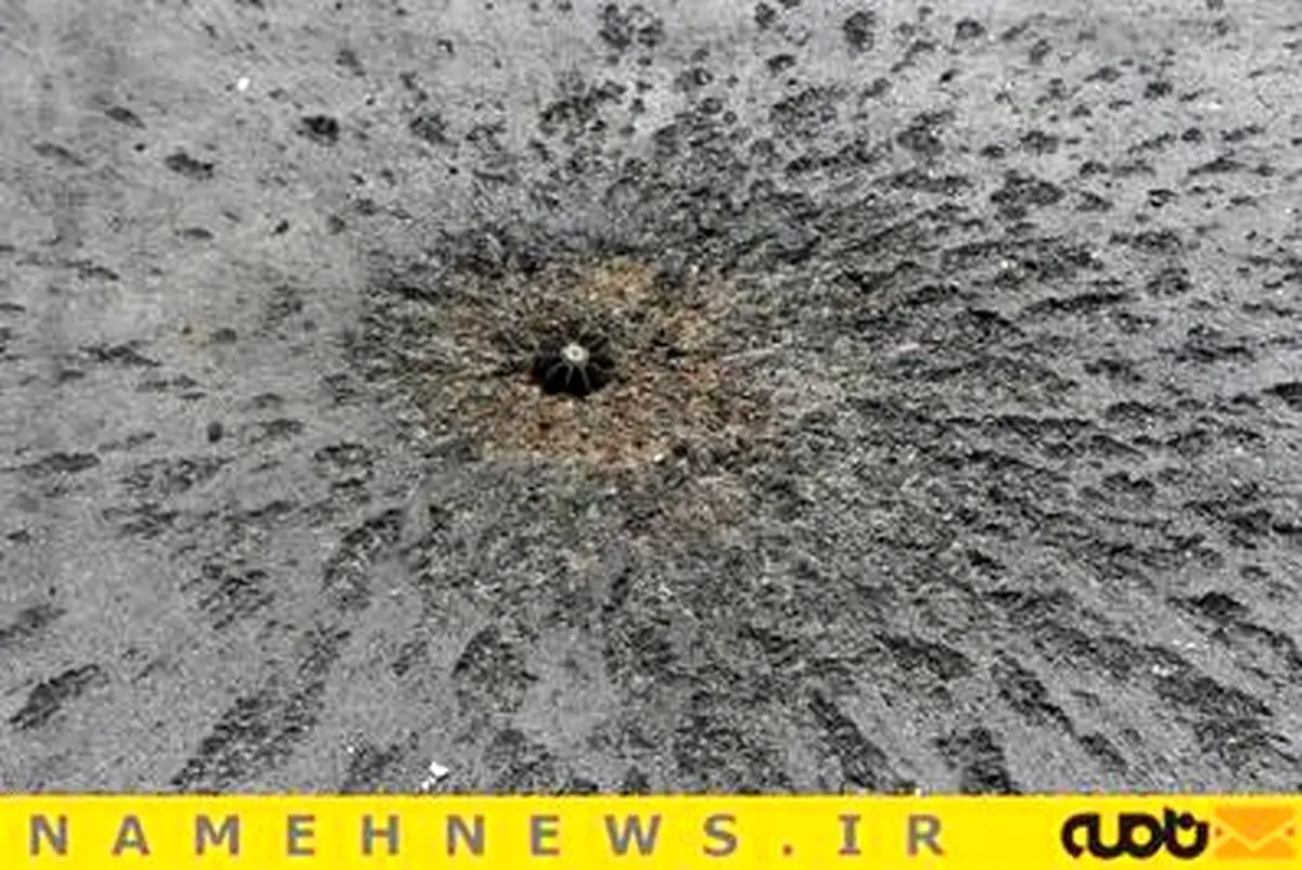 درگیری‌ها در شرق اوکراین همچنان ادامه دارد/ تصاویر