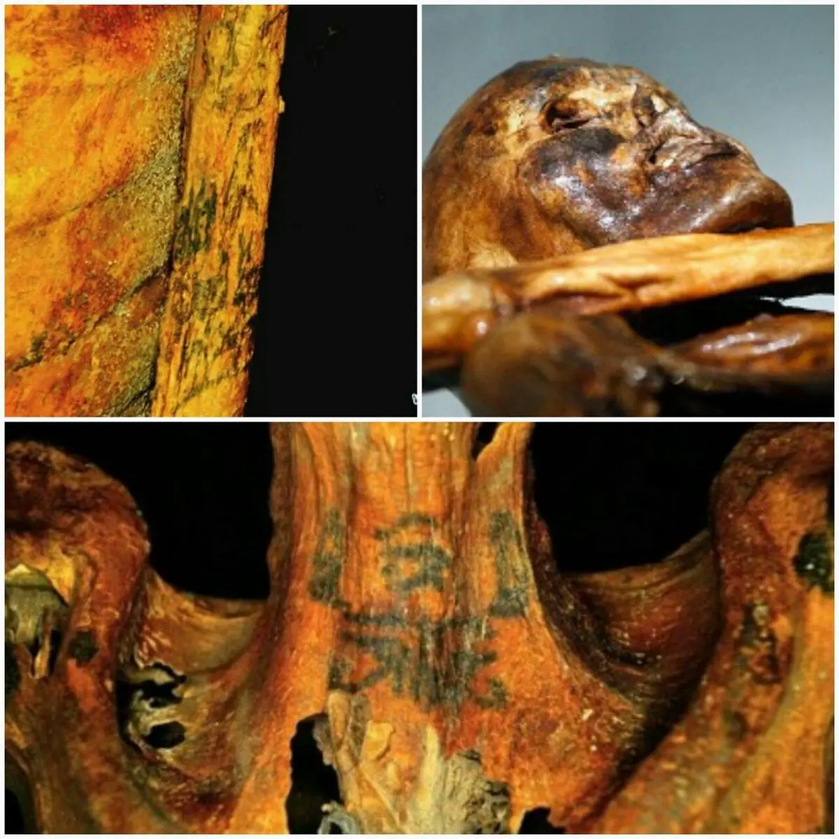 قدیمی‌ترین تتو جهان روی بدن یک زن را ببینید