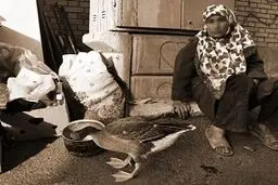 مصائب دردآور یک خانواده تهرانی