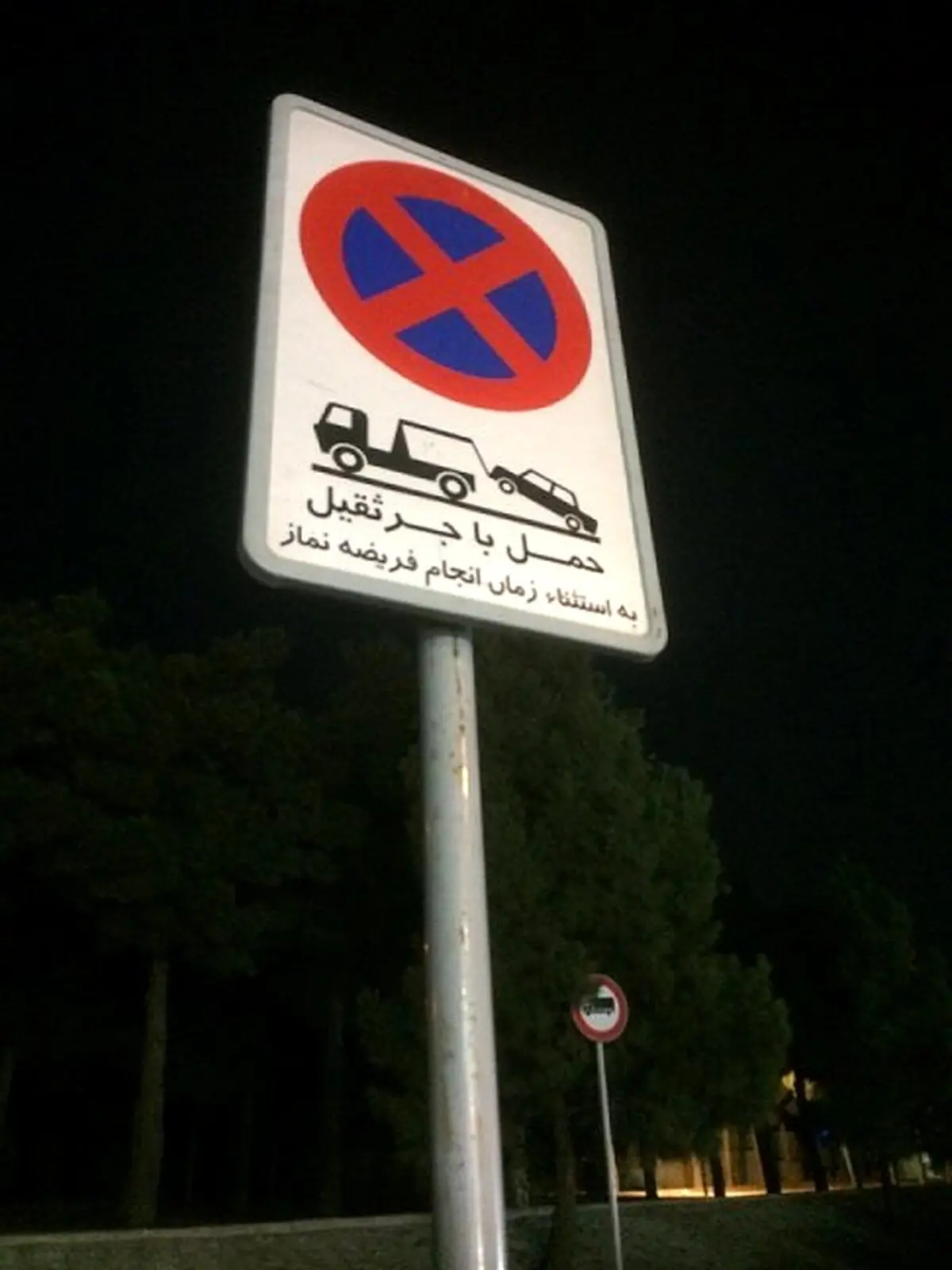 یک استثناء بسیار زیبا/عکس
