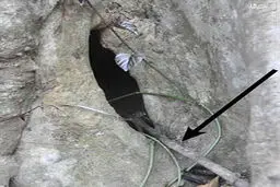 کشف عامل اصلی ابولا/ عکس