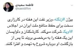 نماینده اصلاح طلب مجلس: دلواپسان یک هفته به مرخصی بروند. زنگنه در اوپک کار سختی دارد