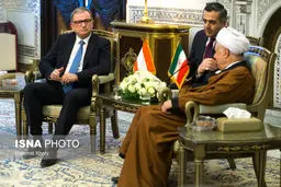 حواشی دیدار نایب‌رییس مجلس اتریش با هاشمی/تصاویر