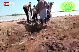 ببینید: جوان آفریقایی در حال امداد رسانی به مناطق سیل زده خورستان