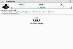 صفحه شاه سعودی در اینستاگرام از دسترس عموم خارج شد/ عکس