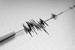 زلزله ۴.۶ ریشتری کرمان را لرزاند + جزئیات