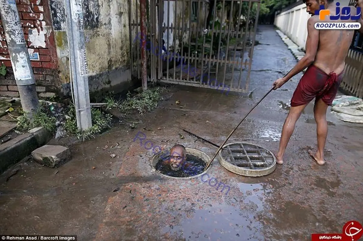 با چندش آورترین شغل دنیا آشنا شوید /تصاویر