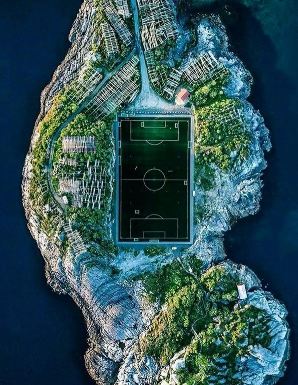 خاص‌ترین زمین چمن دنیا! / عکس