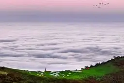 مکانی شگفت انگیز در گیلان ! / عکس