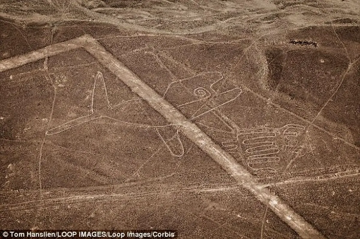 کشف نهایی علت ایجاد سازه های مرموز باستانی در کشور پرو + تصاویر