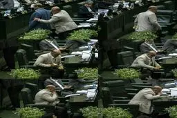 گلابی خوردن نماینده مجلس در صحن علنی/ عکس