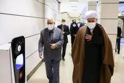 مراسم نخستین سالگرد درگذشت فاطمه رهبر+عکس‌ها