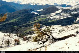 طبیعت پاییزی ارتفاعات تالش (عکس)