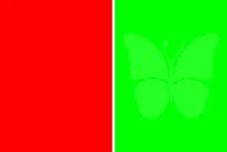 بینایی خود را با این تست ساده بسنجید+ تصاویر