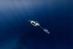 رهایی در آب در عکس روز نشنال جئوگرافیک/عکس