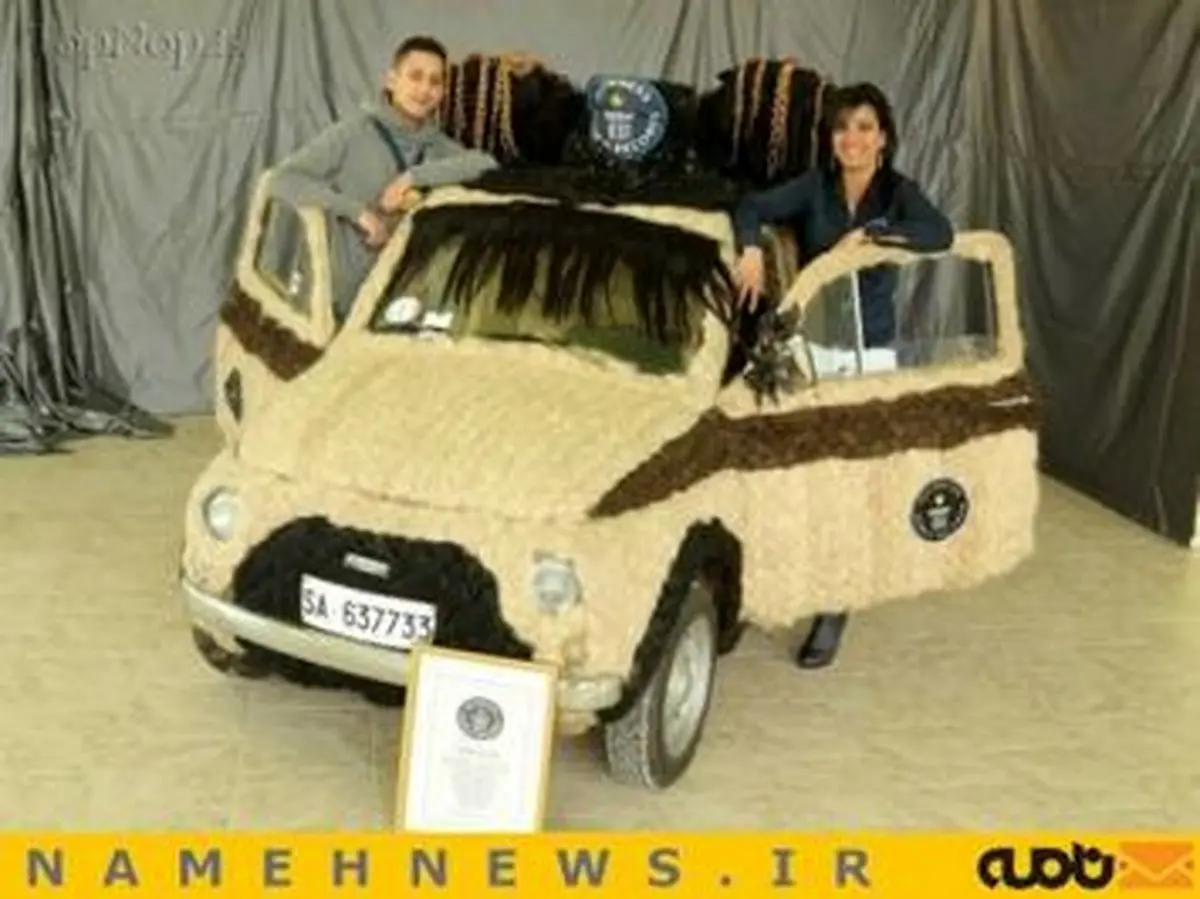 خودرویی با روکش موی انسان!+تصاویر