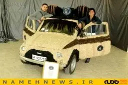خودرویی با روکش موی انسان!+تصاویر
