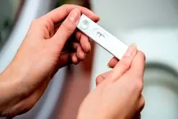 15 نکته جالب درباره بی بی چک