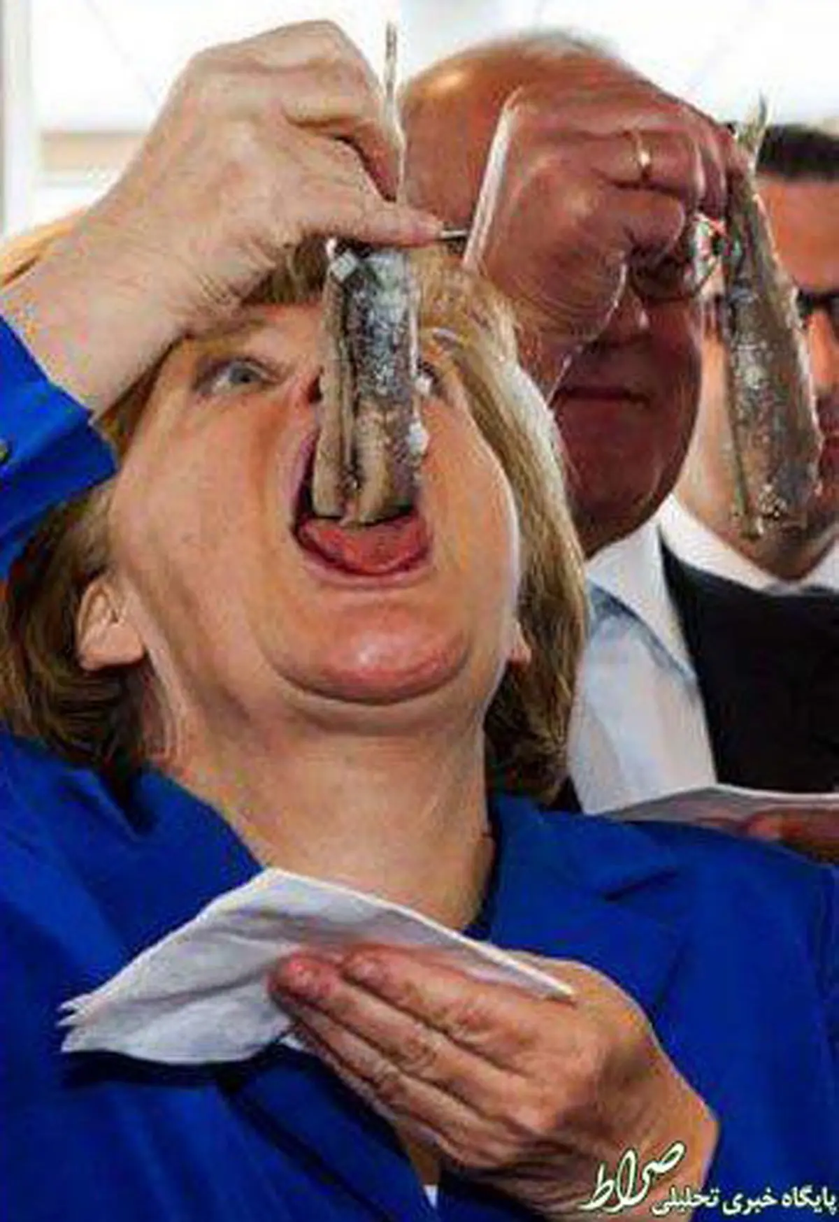 ماهی خوردن به روش مرکل/عکس