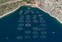 تصاویر | نمای هوایی و متفاوت از حوضچه‌های پرورش ماهی در یونان