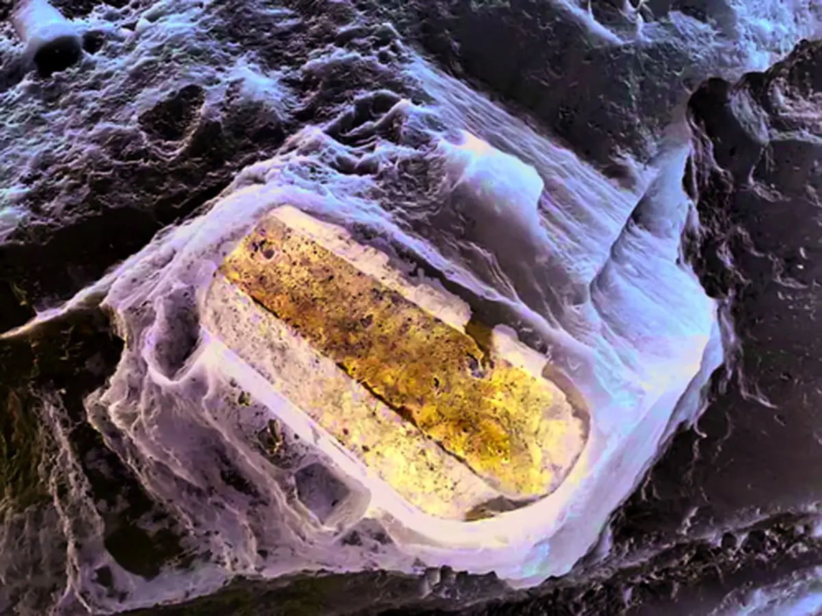 از وحشت و نفرین مومیایی‌ها تا کشف تابوت ٢ هزارساله مصری+جزئیات