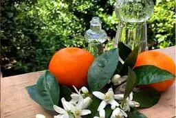 خواص بی نظیر بهار نارنج برای بدن انسان