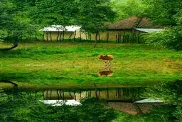 ایران زیبا : آستارا /عکس