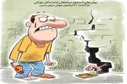 پس از زلزله مراقب این موش‌های آدم‌خوار باشید!