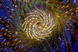 شاگردان مدرسه شائولین‎/ تصاویر