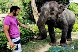 اینستاگرام: عکس خاص کامبیز دیرباز در سفر به تایلند