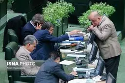 حواشی جلسه علنی مجلس شورای اسلامی/تصاویر