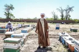 زندگی متفاوت یک روحانی در کنار زنبورها .../تصاویر