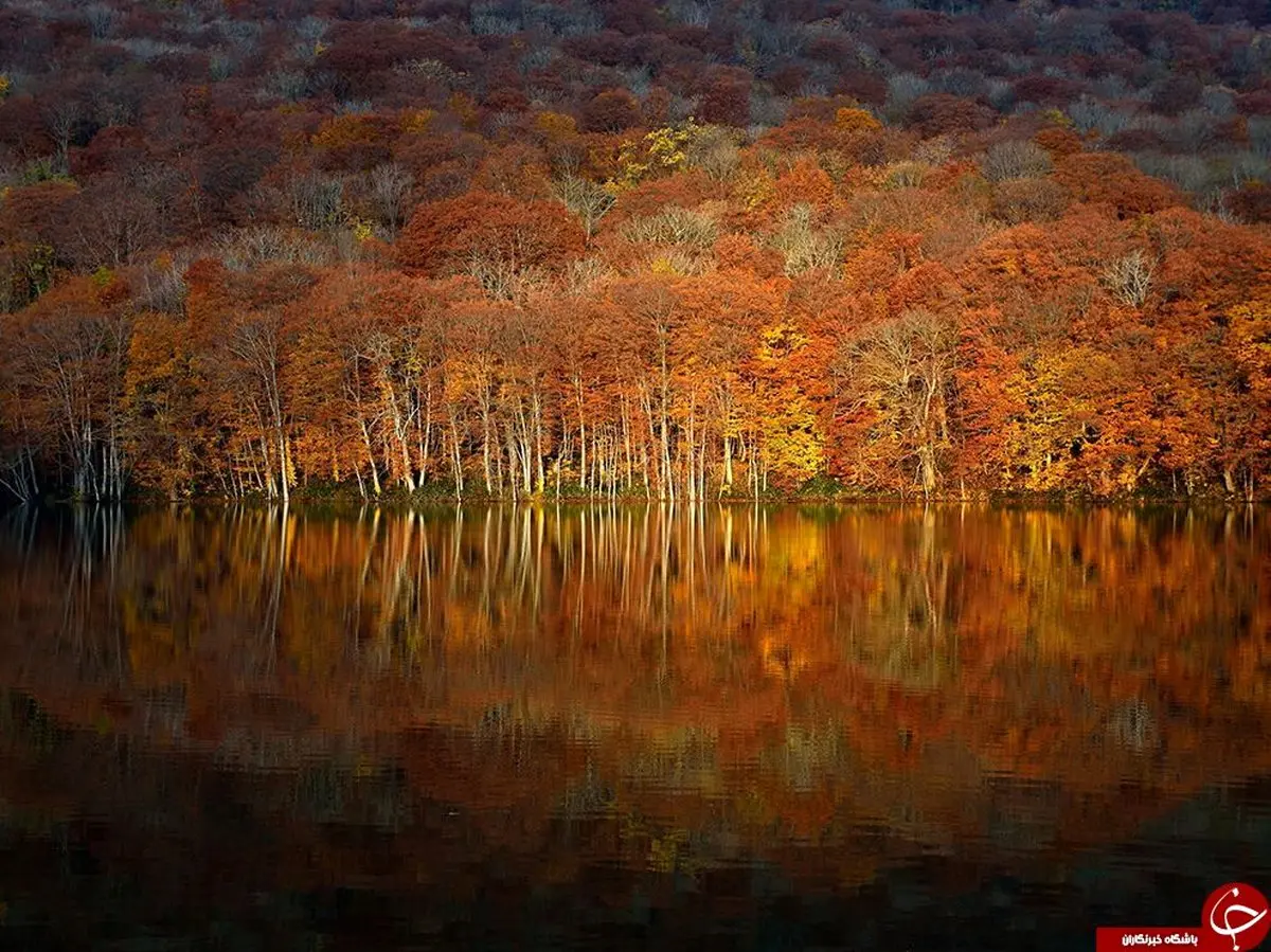 بهشت زیر پوستی در ژاپن + تصاویر