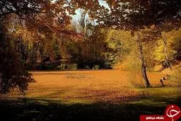 طبیعت زیبا پاییزی مرداب هسل استان مازندران + تصاویر
