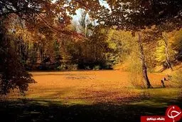 طبیعت زیبا پاییزی مرداب هسل استان مازندران + تصاویر