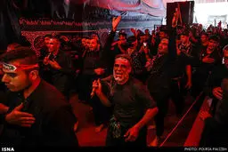 کربلا در آستانه اربعین/تصاویر