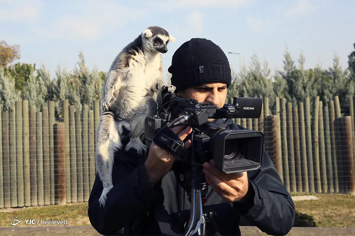 وقتی فیلمبردار و دستیارش خودمانی می شوند!