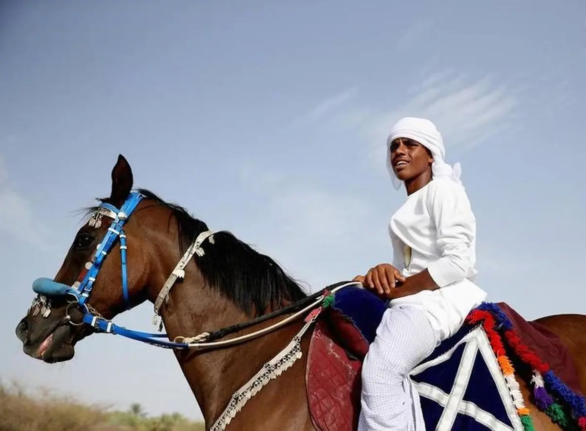نمایش اسب ها در عمان‎ / تصاویر