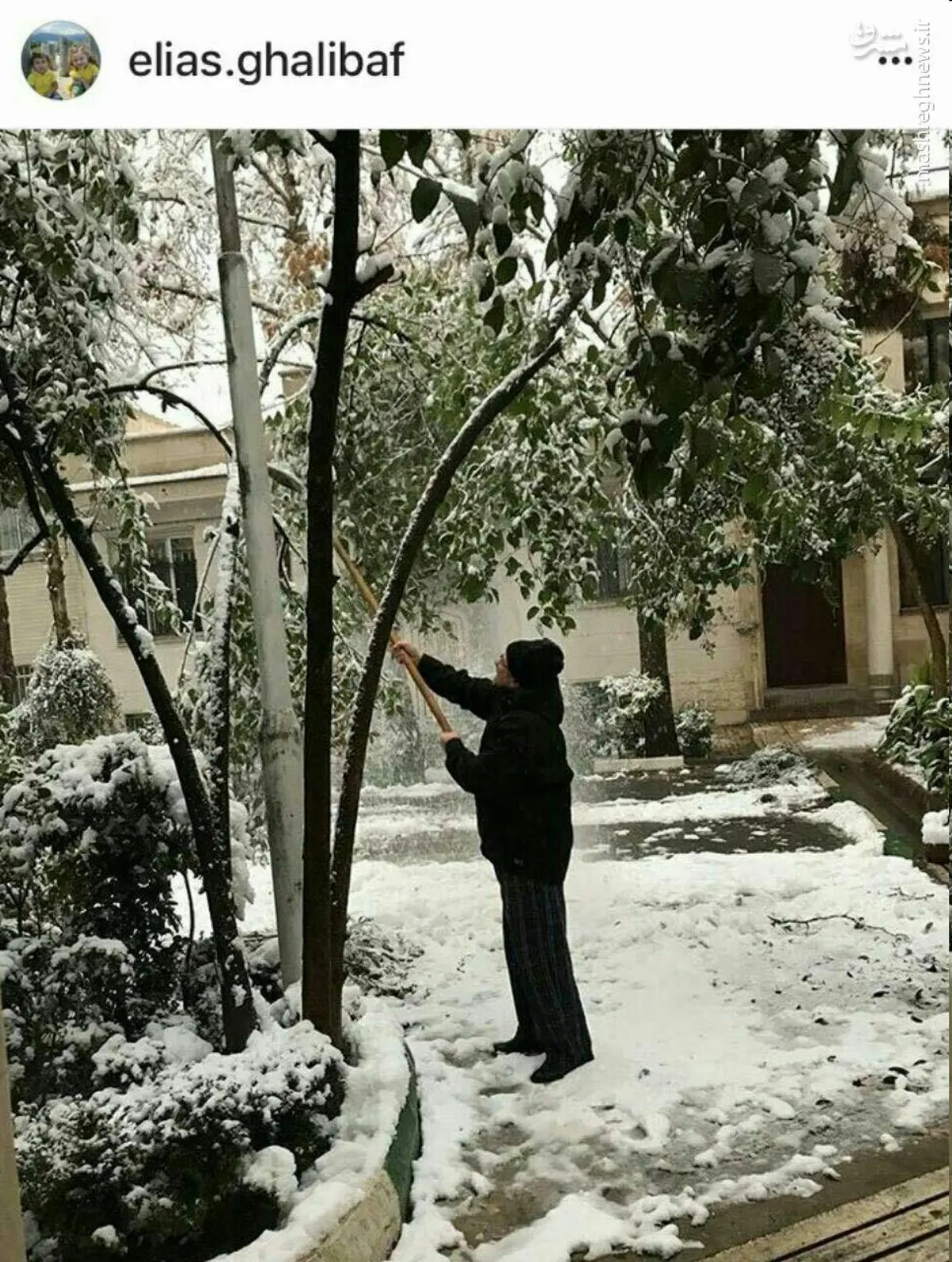 پاسخ قالیباف به توئیت نجفی