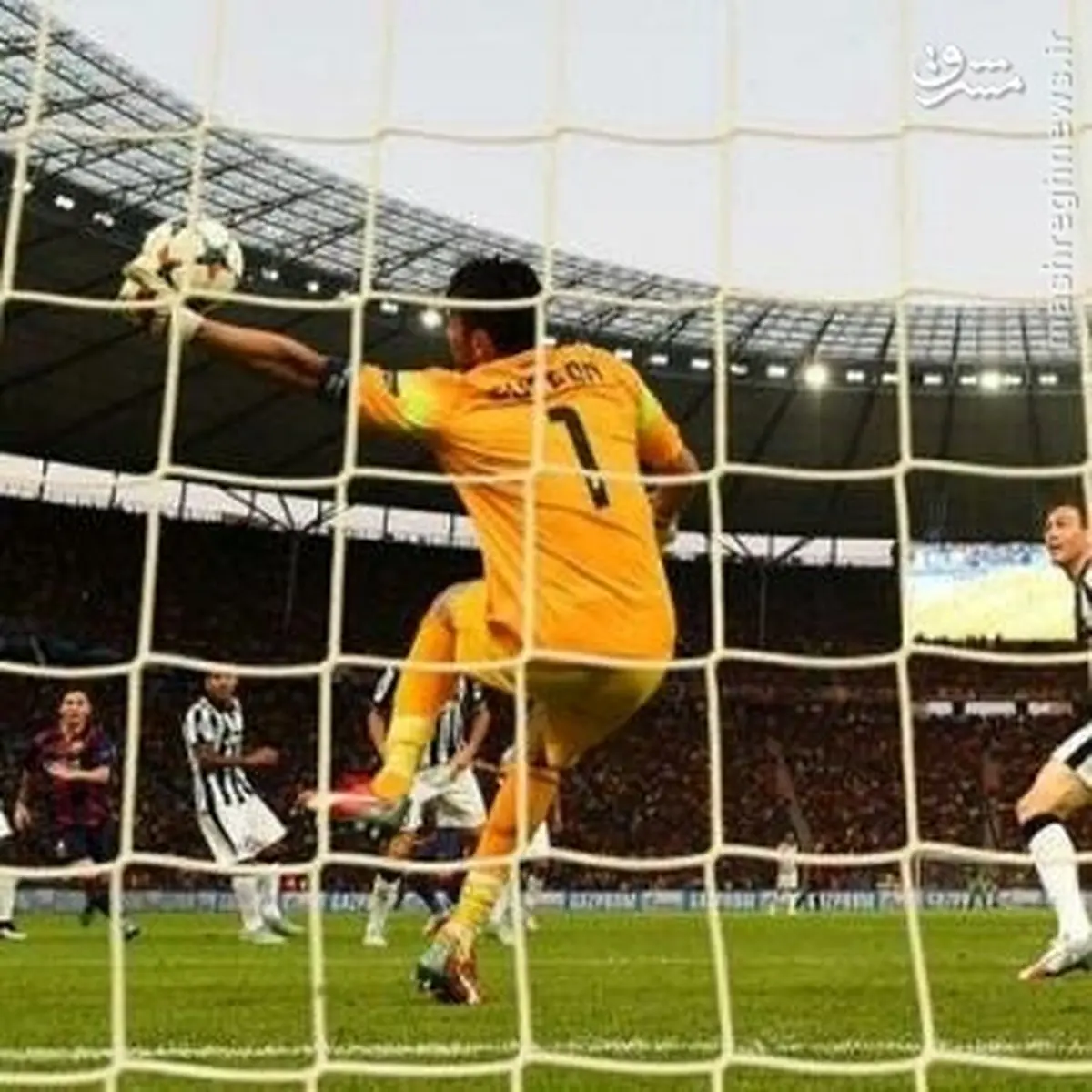 واکنش استثنایی بوفون/عکس