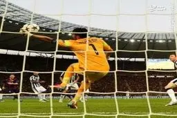 واکنش استثنایی بوفون/عکس