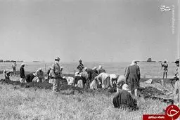 این زنان قبل از اعدام قبر خود را کندند!+ تصاویر