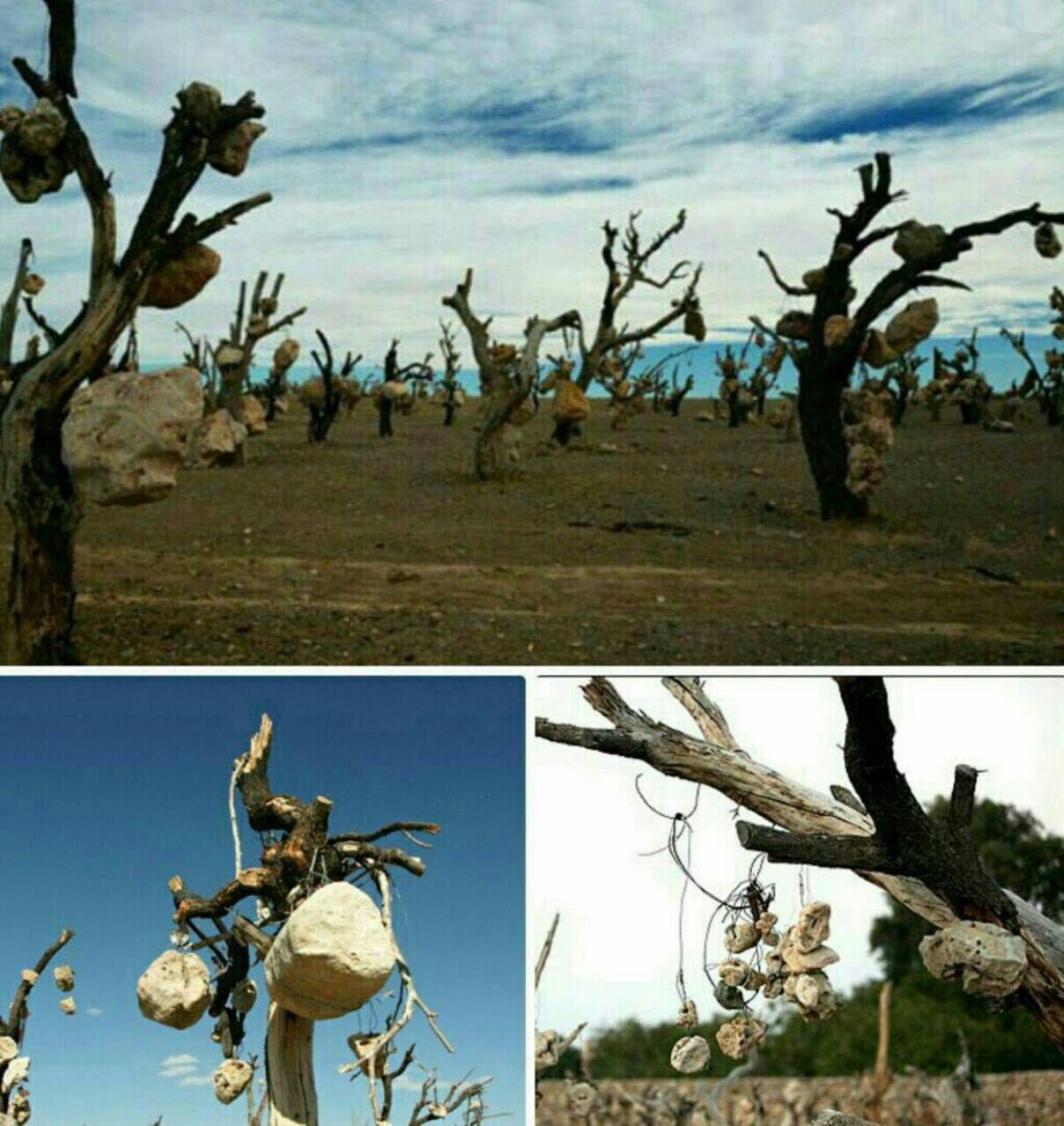 باغ عجیب سنگی درایران!/ عکس
