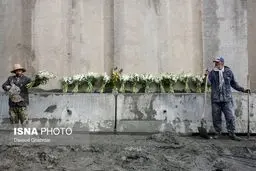 شاخه گل هایی برای قهرمانان پلاسکو/عکس